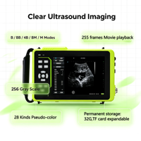 Sistem Diagnostik USG Veteriner Pertanian Layar Medis 8 inci Penyimpanan 32G Pengukuran Obstetri Jantung dan Abdomen