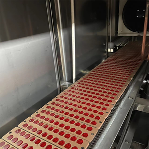 Lst tự động Gummy Kẹo & Kẹo cứng dây chuyền sản xuất Điều kiện Mới đường gửi tiền & máy làm ngọt - Product Image 6