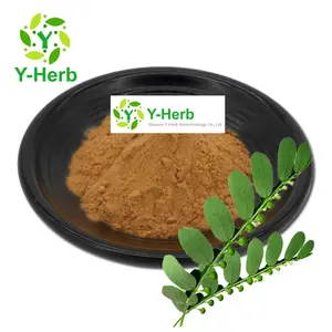 Phyllanthus Niruri Linn. P.E. Ye Xia Zhu Extract 10:1 Phyllanthus Amarus/Phyllanthus Niruri/Chanca Piedra Extract Powder