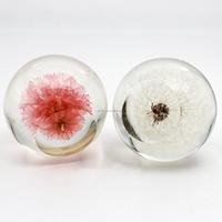 Presse-papiers en cristal poli en forme de boule de pissenlit, avec découpe et impression, fleurs naturelles pressées, souvenirs, vente en gros