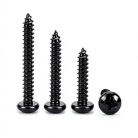 Vis autotaraudeuses à tête cylindrique Phillips en acier inoxydable 304 GB/T 845, plaquées zinc noir, vente en gros