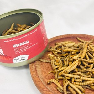 Vermi Essiccati Biologici Ricchi di Nutrienti, Cibo per Uccelli, Polli e Uccelli Selvatici, Esche Sostenibili per Pesci, Mangime per Pollame - Product Image 3