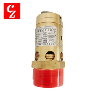 Soupape de sécurité de remplacement de haute qualité pour compresseur d'air Ingersoll Rand 99300626 - Product Image 5