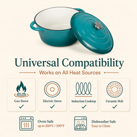 Casseroles ovales en fonte bleues/vertes personnalisées pour casseroles de cuisine pour aliments marmite électrique