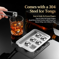 Pierres à whisky réutilisables en acier inoxydable 304, lot de 12, avec boîte de rangement et pince à glace pour cocktails et whisky