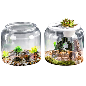 Acuario de Vidrio Transparente, Pecera Transparente para Mascotas Pequeñas, Terrario de Escritorio, Decoración del Hogar - Product Image 1