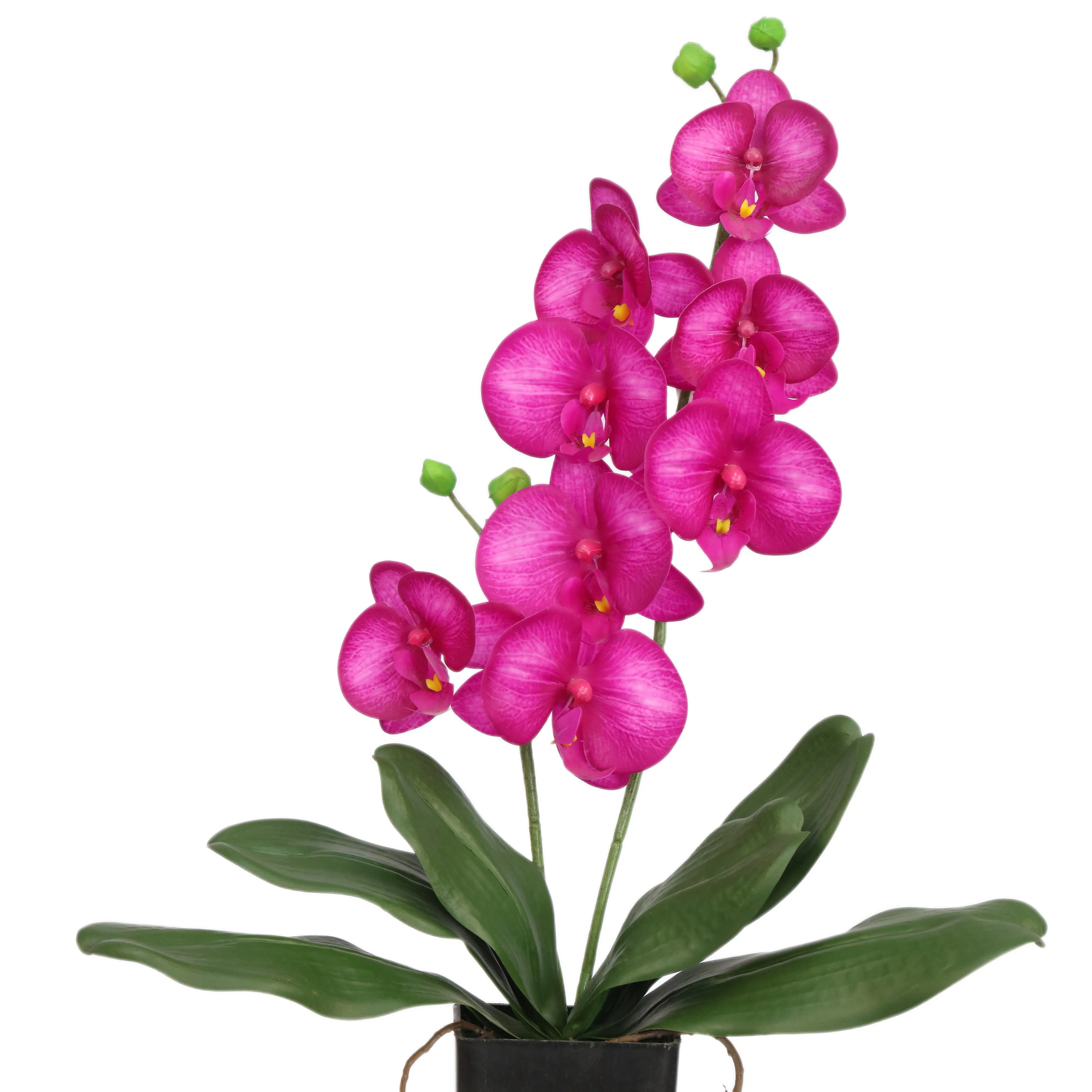 Commercio all'ingrosso di simulazione di seta fiore di orchidea composizioni artificiale phalaenopsis orchidee boccette