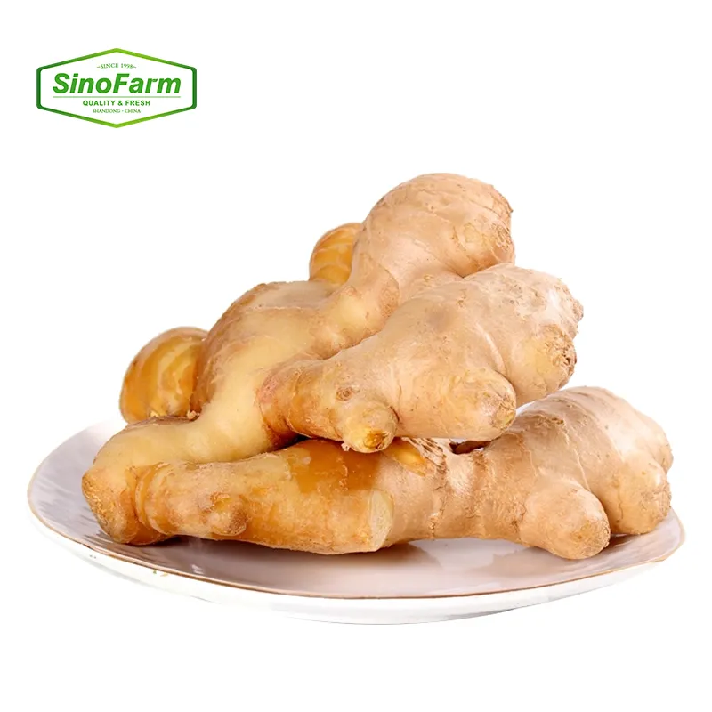 Chinese新鮮なOrganic野菜Manufacturers Direct Selling Ginger価格あたり1キロChina