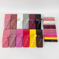 Coque de téléphone magnétique 2026 avec logo audacieux, 12 couleurs pures, nouvelle version améliorée pour gloss à lèvres, compatible Apple 18/17/16/15/14/13