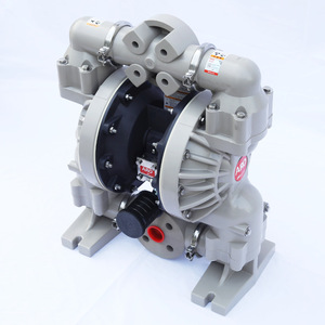 Pompe à diaphragme pneumatique Inger-soll Rand ARO PD01P-HKS-KTT-A 1/4" non métallique 5,3 GPM - Product Image 2