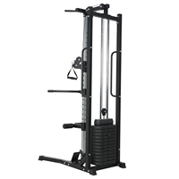 Machine de musculation multifonctionnelle pour la maison, pour la musculation du dos et des bras, construction métallique, pile de poids de 65 kg