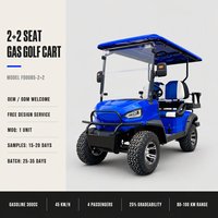 Voiturette de golf à essence 300cc, 4 places, propulsion arrière, suspension indépendante pour les excursions panoramiques en montagne en groupe