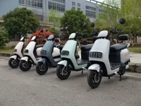 Moto électrique à succès 1000-2000W, cyclomoteur électrique 60V/72V