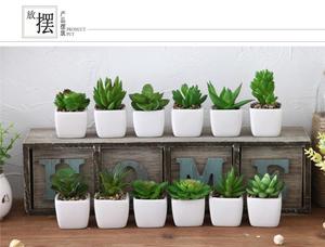 DIY creativo Micro paisaje Artificial Mini suculentas negro PP maceta miniatura planta suculenta - Product Image 2
