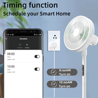 Prise intelligente Tuya Zigbee Wi-Fi avec compteur de puissance, panneau en verre trempé, commande vocale Alexa, prise US
