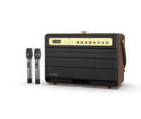 Enceinte rétro W-King K6L 120W pour système de sonorisation portable, lecteur de musique, équipement audio, enceinte sans fil avec basses puissantes