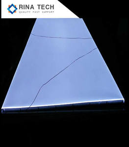 Panneau LED fin rétroéclairé personnalisé de grande taille, couleur blanche/rouge/jaune/bleue/orange, pour panneau publicitaire extérieur Rina Tech - Product Image 4