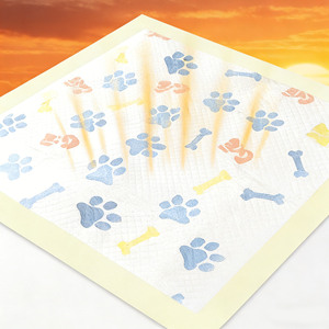 Pet Training <b>Pee</b> <b>Pad</b> L Size Thickened Absorbent For Dog Puppy Training - Product Image 4