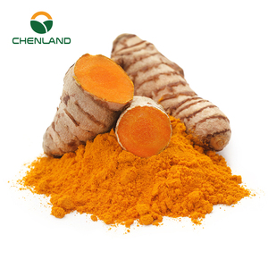 Curcumin bột 95% bổ sung Halal giấy chứng nhận nghệ gốc chiết xuất Curcumin hữu cơ tự nhiên nghệ chiết xuất - Product Image 1