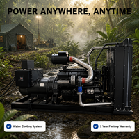 Dieselgenerator-Set für Große Aquakultur-Basen, Stromversorgung, Kraftstoffsystem mit Überlastschutz, 300kVA Dieselgenerator