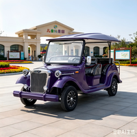 Voiture touristique rétro spacieuse de haute qualité, batterie au lithium pour parc à thème, zéro émission, durable, vente chaude, électrique 30 km/h