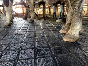 Tapis en caoutchouc épais <span class=keywords><strong>antidérapant</strong></span> pour le <span class=keywords><strong>sol</strong></span> des vaches/<span class=keywords><strong>chevaux</strong></span>/bovins/élevages - Product Image 5