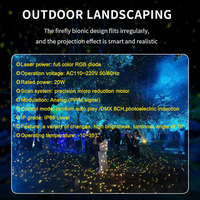 Niveau extérieur IP66 2W 3W DMX Full Color Firefly RGB Starry Sky Star Etoile Waterproof Garden Park Laser Star Lights Show