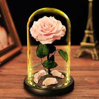 Nouveau Long Lasting Fresh Forever Real Touch Préservé Rose Dome Flower Roses éternelles dans un dôme en verre Saint Valentin Gif