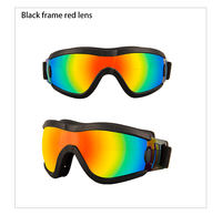 Nouvelles Lunettes de Soleil Sportives pour Chien, Écologiques, Anti-UV, Réglables, en Plastique, pour Cyclisme et Activités de Plein Air, Solides, Hiver