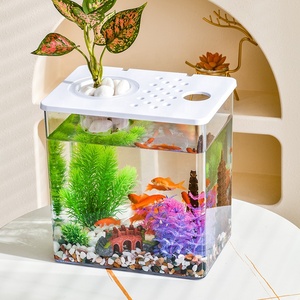 Aquário de Plástico Transparente Irregular Ecológico 10L Mini Aquário Decorativo para Sala de Estar e Escritório Moderno - Product Image 2