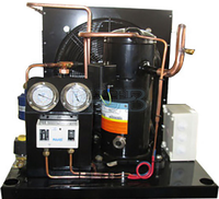 KUB500L YF35E3G-Q100 220V 1PH 60HZ unité de condensation de réfrigération basse température 5HP compresseur à défilement unités de condensation prix