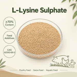 Suministro <span class=keywords><strong>a</strong></span> Granel de Sulfato de L-Lisina Granular al 70%, Suplemento de Grado Alimenticio, Sulfato de Lisina <span class=keywords><strong>para</strong></span> Aves de Corral, Ganado y Alimentación Acuática - Product Image 1