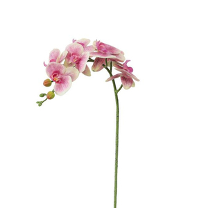 Usine directe réel look réaliste de haute qualité fleurs d'orchidées artificielles tige 7 têtes de mariage décoration - Product Image 1