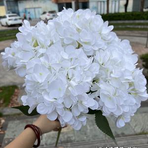 ดอกไฮเดรนเยียฝรั่งเศสสีเขียวขนาด 50 ซม. สำหรับงานแต่งงาน ดอกไม้ปลอมพร้อมก้าน ขายส่ง - Product Image 2