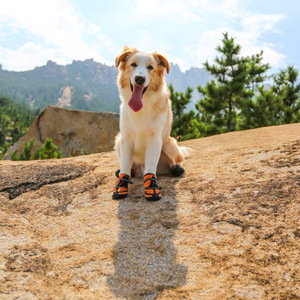 Chaussures <span class=keywords><strong>pour</strong></span> <span class=keywords><strong>chien</strong></span> ONESTEP confortables, classiques, imprimées, douces, respirantes, anti-chute, avec double sangle réfléchissante, semelle hydrofuge en polyester - Product Image 5