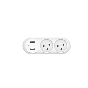 Connecteur de cordon d'alimentation 250V Adaptateur de prise de voyage voyage avec prise USB israël 2-3 voies avec USB