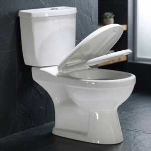 Inodoro de Dos Piezas de Cerámica con Doble Descarga y Asiento de Cierre Suave para Baños Modernos - Product Image 1