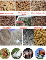 Nouvelle machine à granulés d'aliments pour animaux en acier à haute teneur en carbone, capacité de 100 kg/h, moteur électrique/diesel, haute productivité pour usage domestique, petite ferme