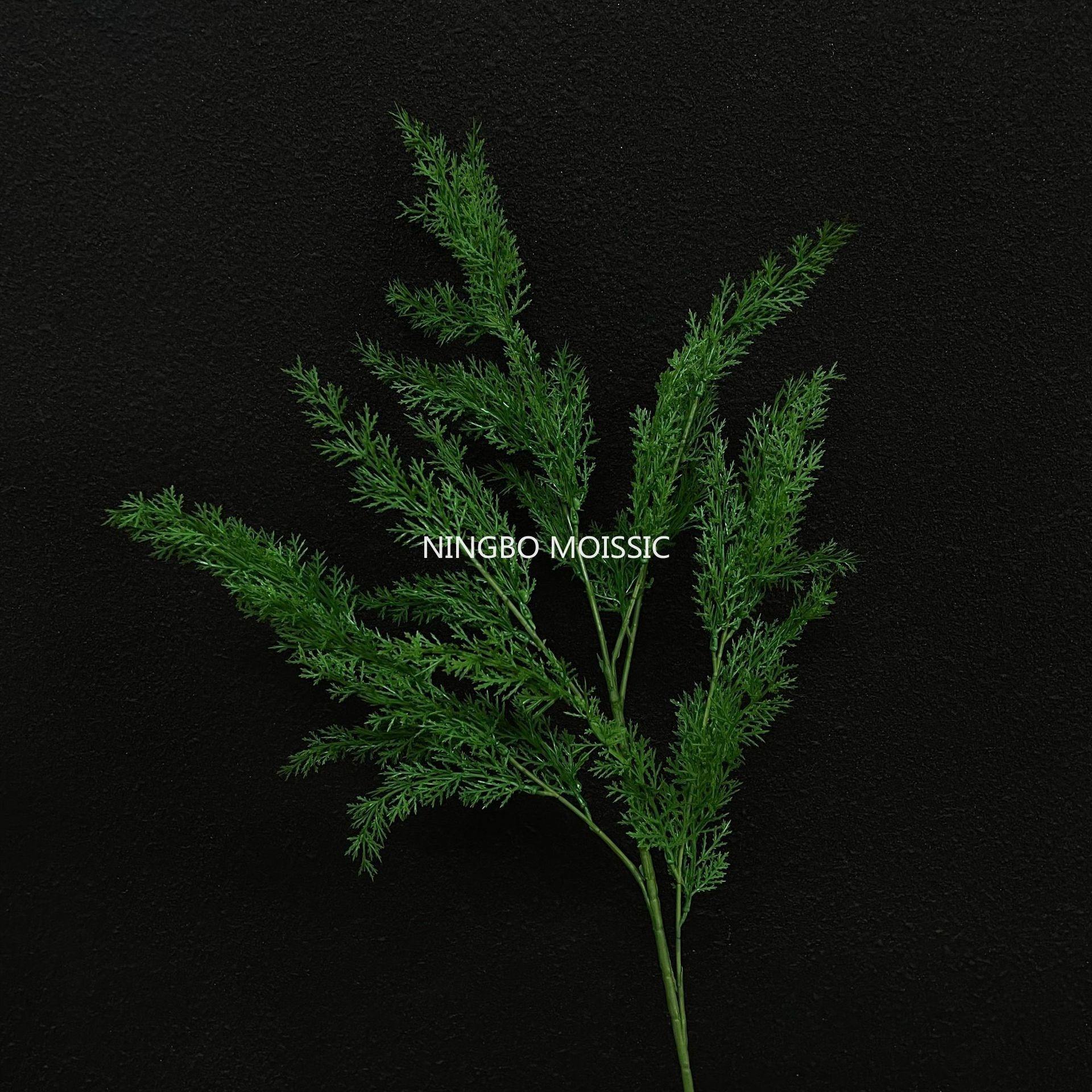 สีเขียว