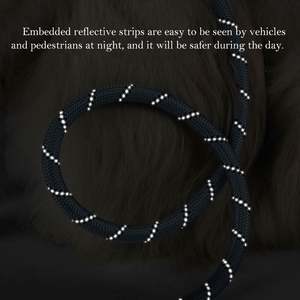 Laisse pour chien de luxe en sangle de nylon robuste personnalisée, en polyester, colorée, de créateur, avec corde réfléchissante pour animaux de compagnie - Product Image 4