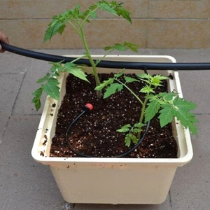 Accessoires de système hydroponique à effet de serre hydroponique/Irrigation/Aquapo hydroponique Kit complet de seau néerlandais pour la croissance des plantes - Product Image 5