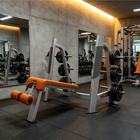 Rack de musculation professionnel pliable en métal avec banc inclinable, multifonctionnel pour l'entraînement de la poitrine et des squats