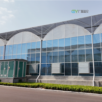 Structure de serre multi-travées en film, fabriquée en Chine, pour usage commercial, idéale pour les projets agricoles