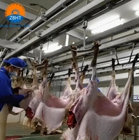 Équipement d'abattage de moutons entièrement automatique, facile à utiliser, certifié ISO9000, pour les ateliers familiaux de petite taille