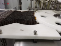 Machine de capsulage remplissante de sirop liquide automatisé de toux avec le dosage liquide de remplissage d'interface d'ordinateur et le système d'emballage