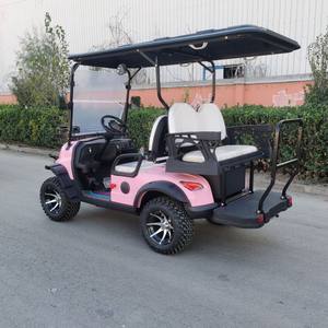 Voiturette de <span class=keywords><strong>golf</strong></span> rose à 4 places, homologuée pour la route, entretien facile, pour les parcs, les attractions touristiques, les terrains de <span class=keywords><strong>golf</strong></span>, les centres d'exposition - Product Image 6