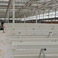 Systèmes de culture hydroponique à grande échelle en serre avec canaux de substrat, idéaux pour la plantation de fraises, de légumes et d'herbes aromatiques