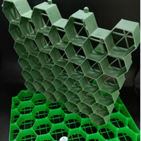 Pavé de grille d'herbe en plastique perméable HDPE de 48mm pour jardins pentes parkings de voiture allées d'herbe barrage-produits de terrassement
