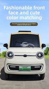 Voiture électrique miniature à quatre roues, 4 portes, 4 places, voiture électrique miniature pour personnes âgées, véhicule pour adultes - Product Image 6