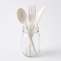 Couverts jetables pour la sécurité alimentaire, emballage individuel, couverts en amidon de maïs, couverts biodégradables en amidon de maïs